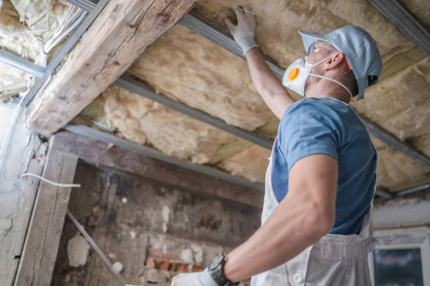 Best Types of Insulation in Chackbay, LA